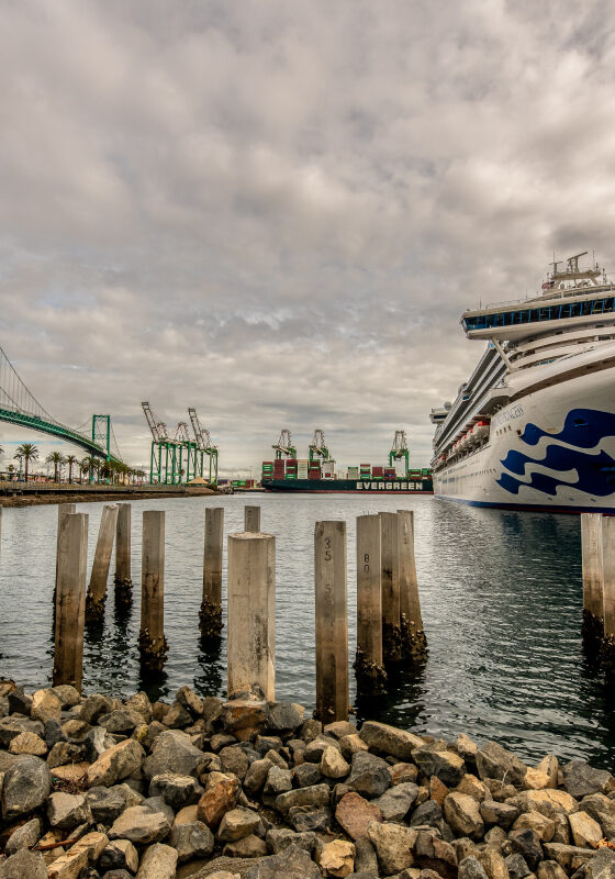 san pedro south bay dock workers